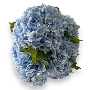 Hortensia light blue